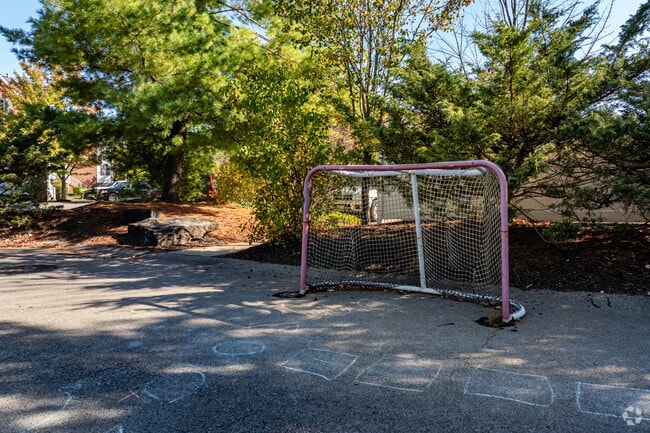 Club Apex - Hockey Court