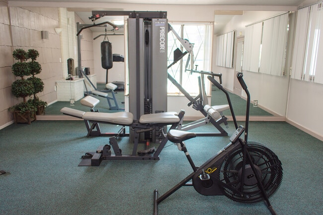 Gimnasio