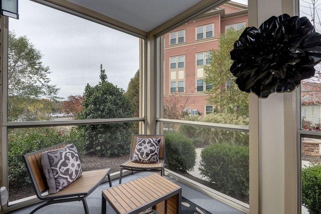 Elms Odenton