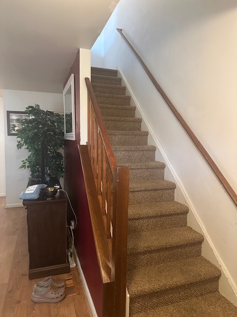 Photo - 252 Douglas St