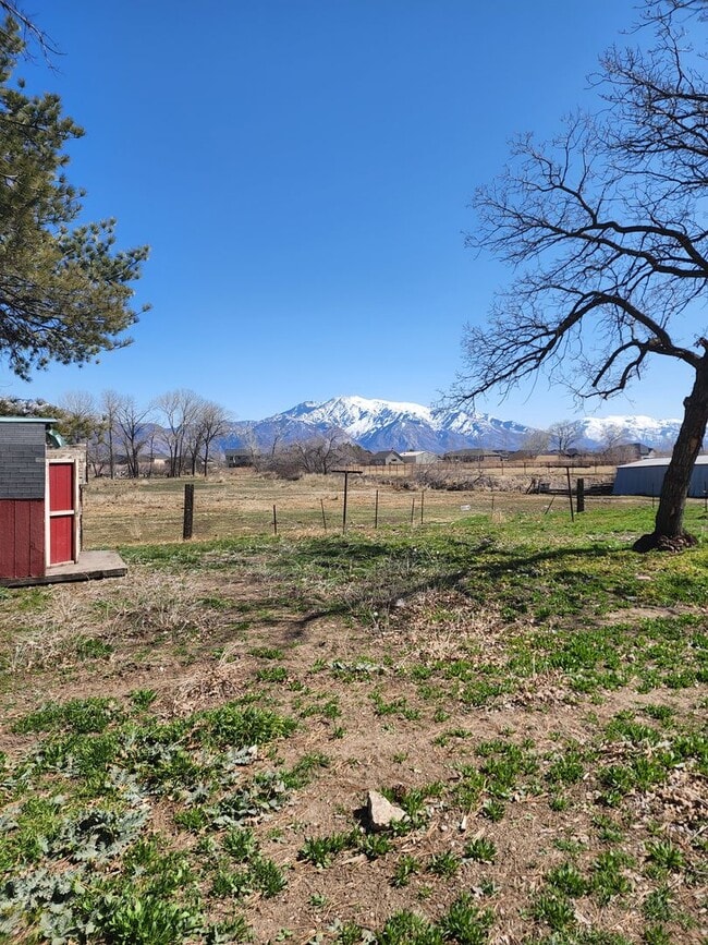 Photo - Newly Renovated 4 bedroom with land!