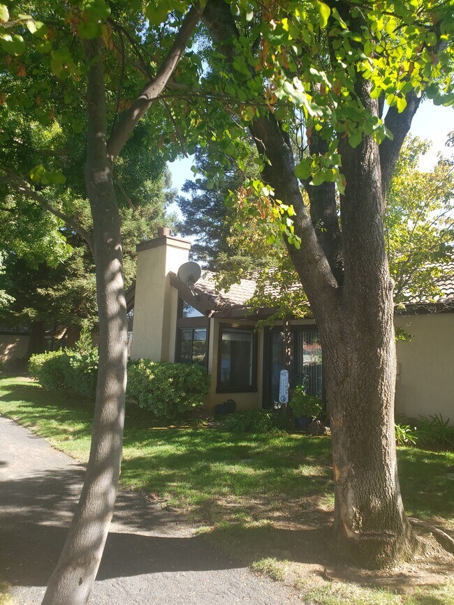 Photo - 13 Sierra Lakeside Ln Unidad Lake House