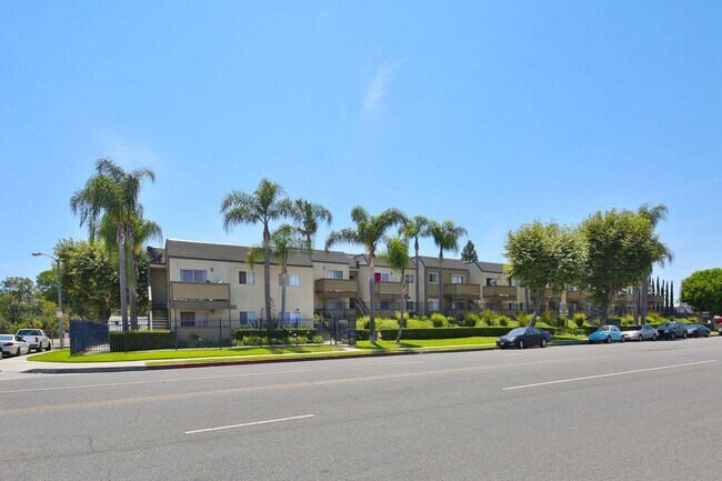 Photo - Orangewood Creek