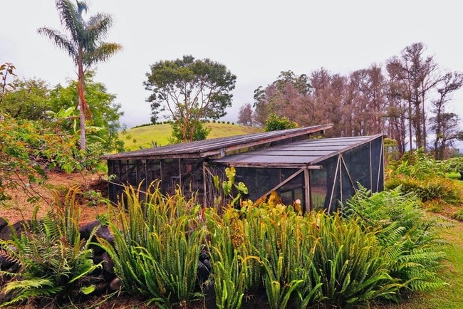 Photo - 1990 Olinda Rd