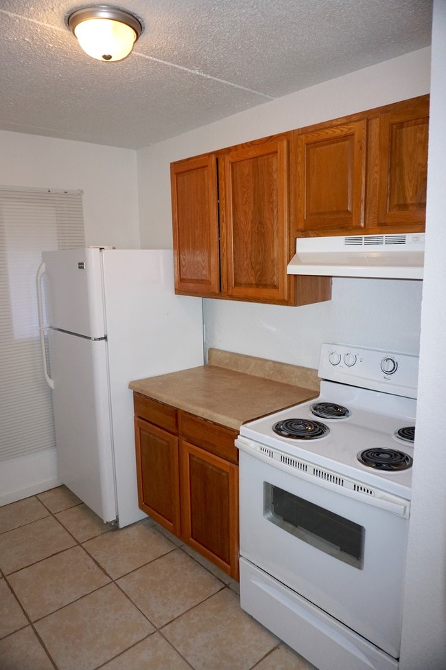 Classic 1 Bedroom Kitchen - Renaissance at Strawberry Creek Apartments
