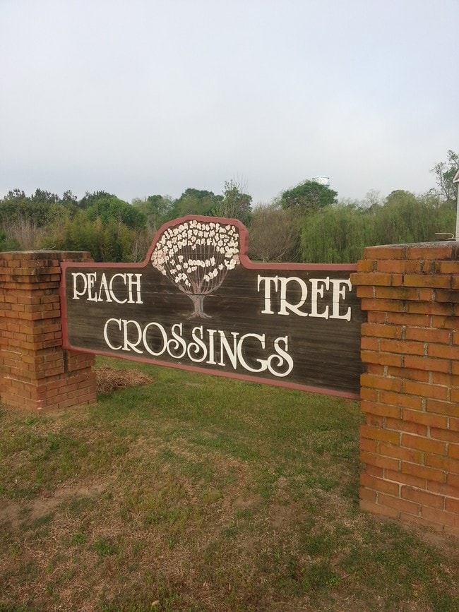 Peachtree Crossings Apartments For Rent in Byron, GA