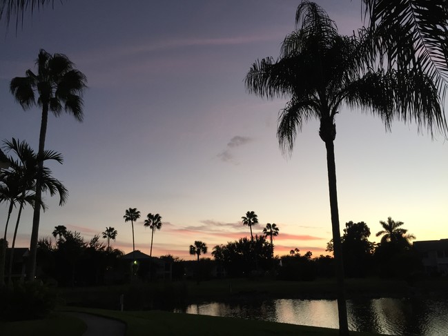 Photo - 12530 Equestrian Cir Unit Veneetian palms