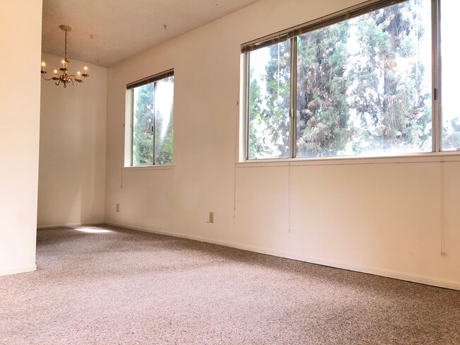 331 Northstar Pl Unit 4
