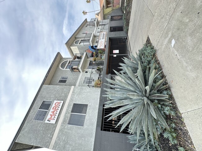 Photo - The Marq Apartments