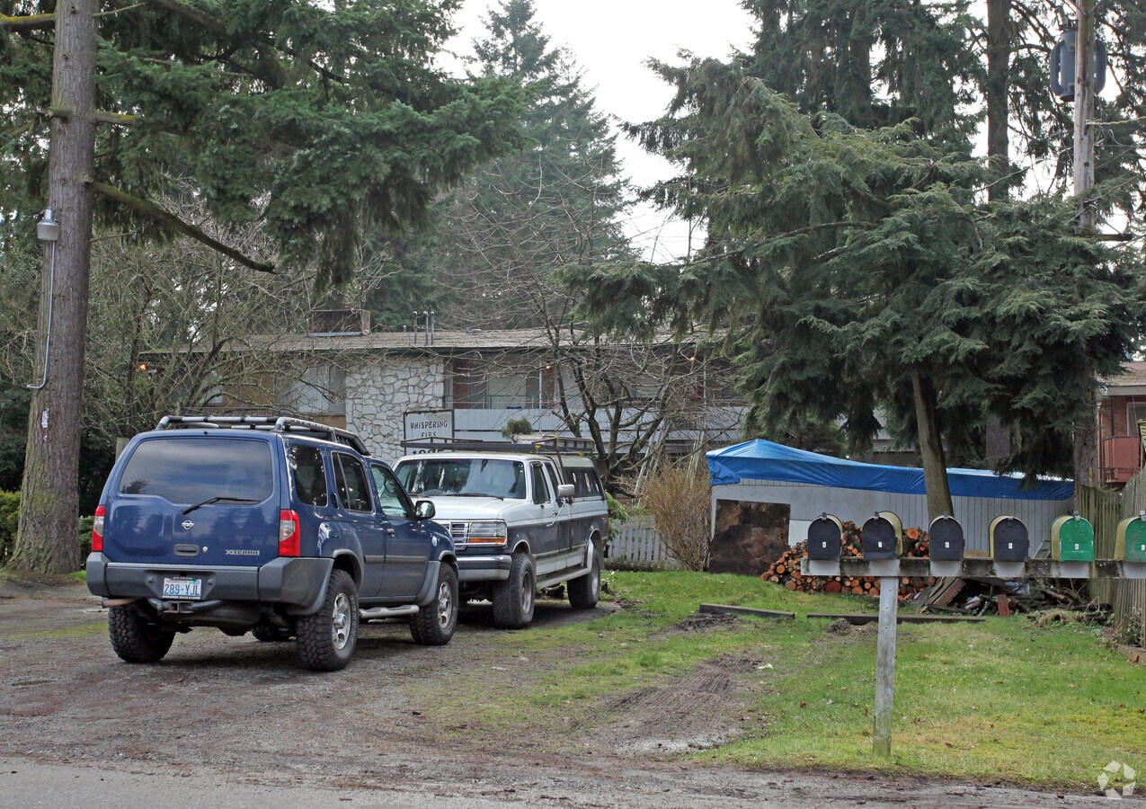 Photo - Whispering Firs