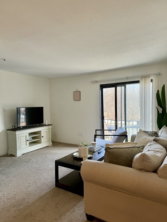 Photo - 59 Village Brook Ln Unit 5