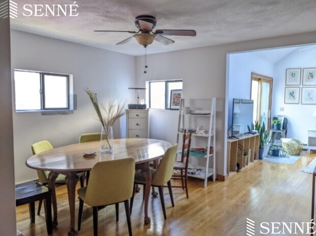 Building Photo - 351 Norfolk St Unit 1