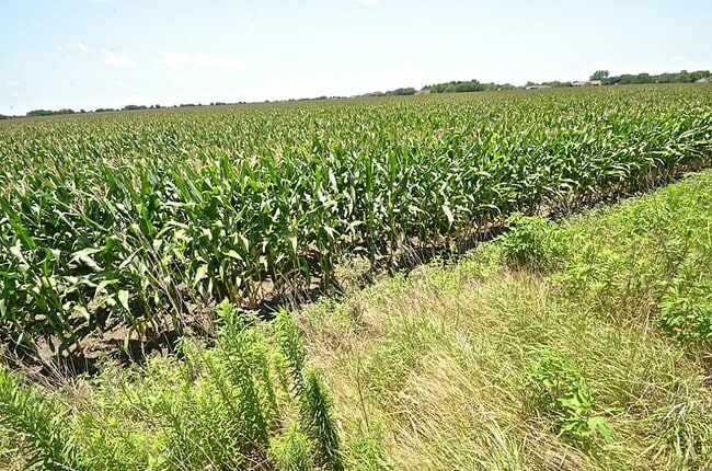 Photo - 4307 Sunflower Creek Ln