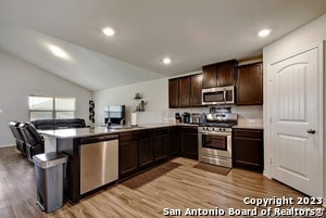 Photo - 822 Brown Thrasher