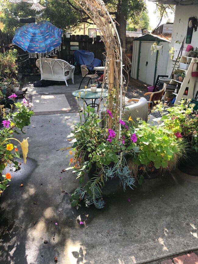 Backyard - 1405 Caroline Unit D