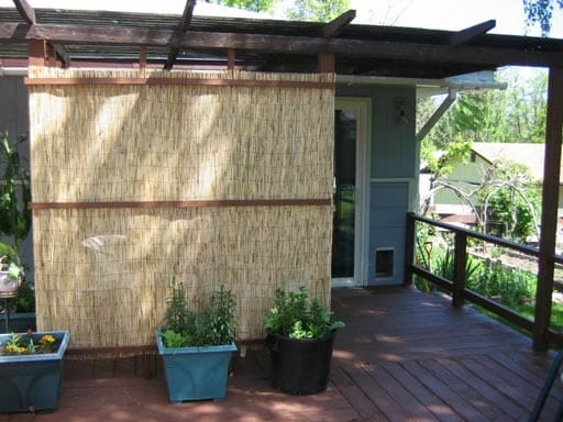 Photo - Comfy Studio for Rent