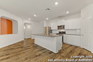 Photo - 919 Brown Thrasher