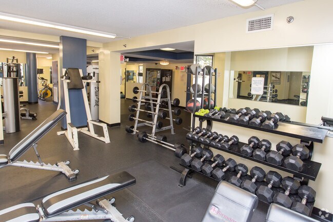 Greenhouse Apartments Boston Room Pictures &amp; All About