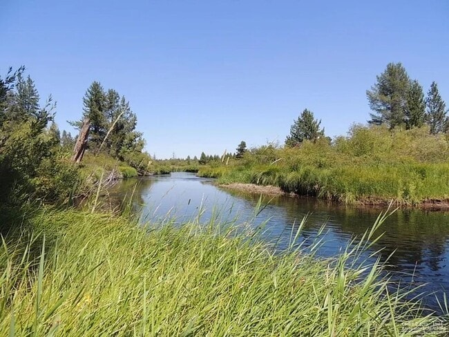 Photo - Adorable Cabin on the River