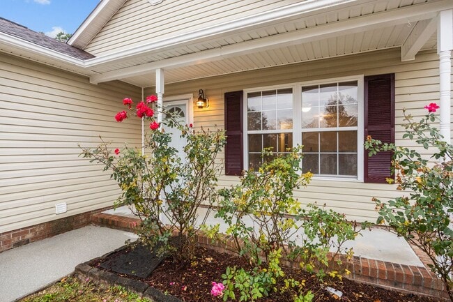 Photo - Welcome to Brookstone!