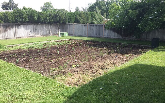 Photo - Mill Place Apartments