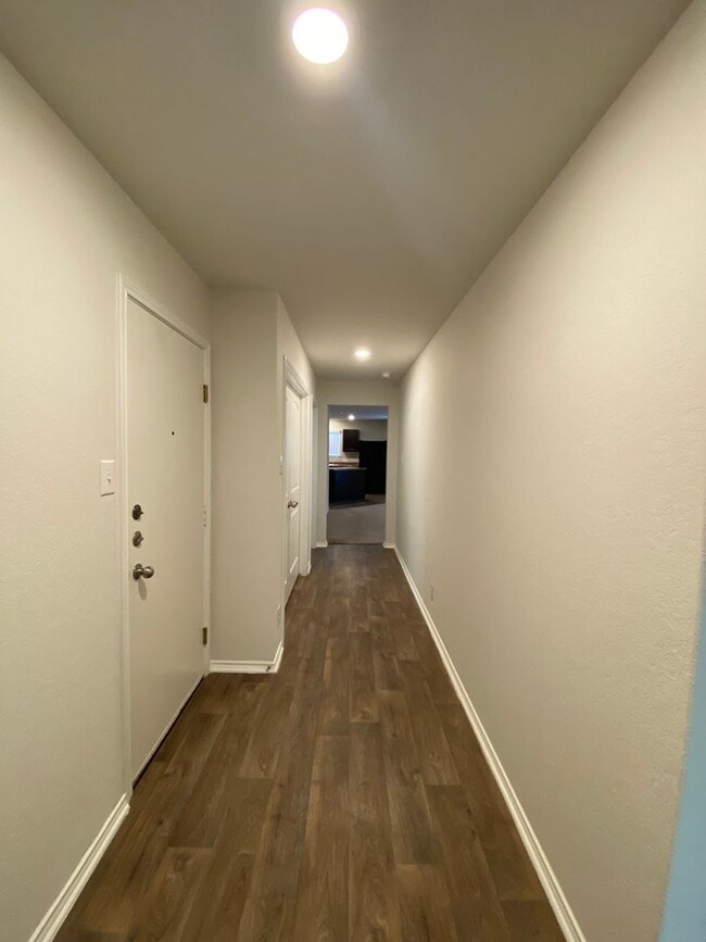 Photo - 122 Moscovy Duck