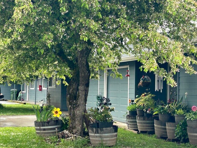 Photo - #333 MOUNTAIN VIEW DUPLEXES