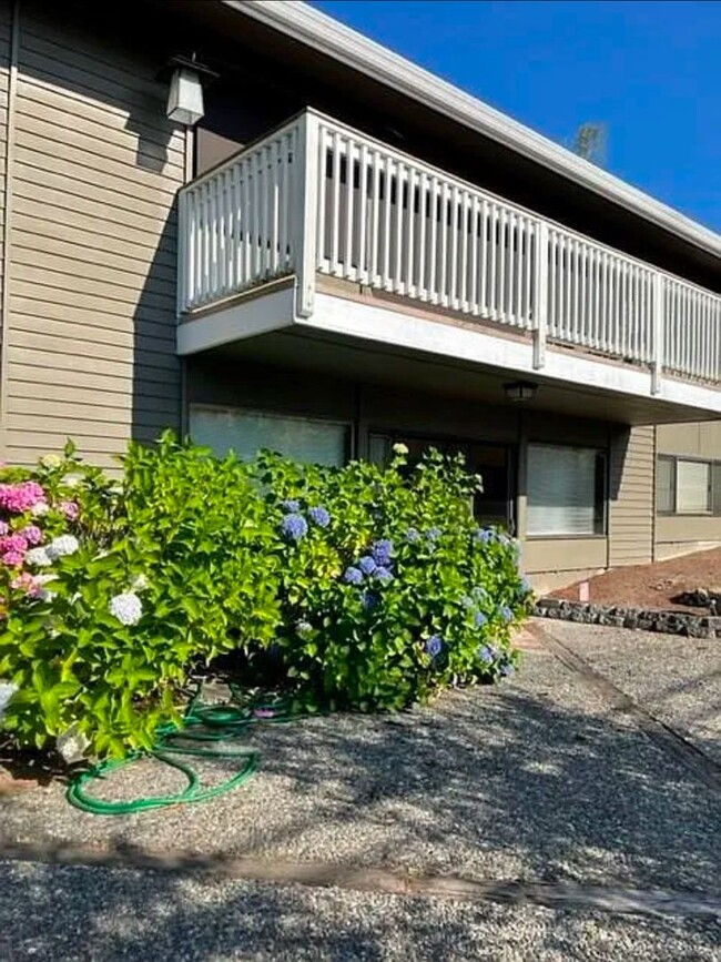 2 bedroom 1 bath daylight basement unit in... - 2 bedroom 1 bath daylight basement unit in... Casa