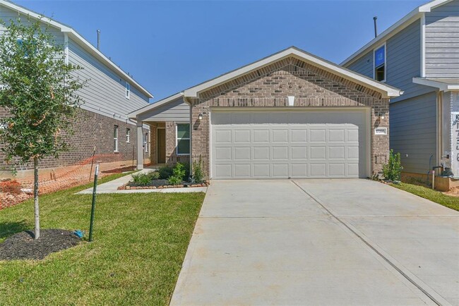 Photo - 17350 Texas Willow Dr House