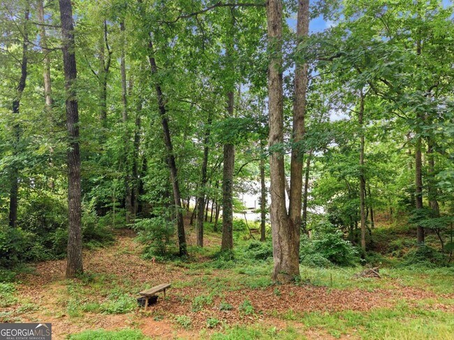 Photo - 3349 Chestatee Rd