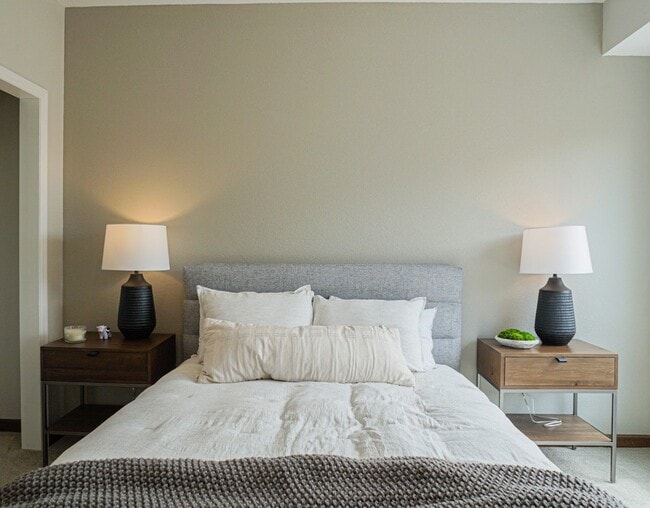 Photo - The Backyards