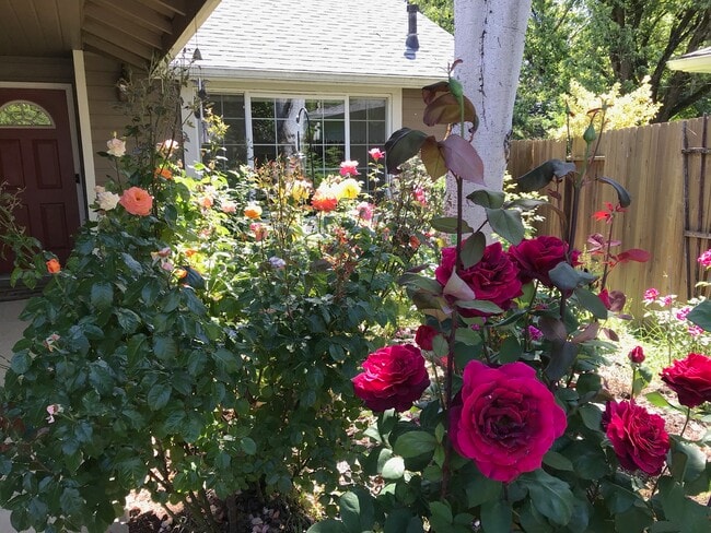 Building Photo - 885 Randall St