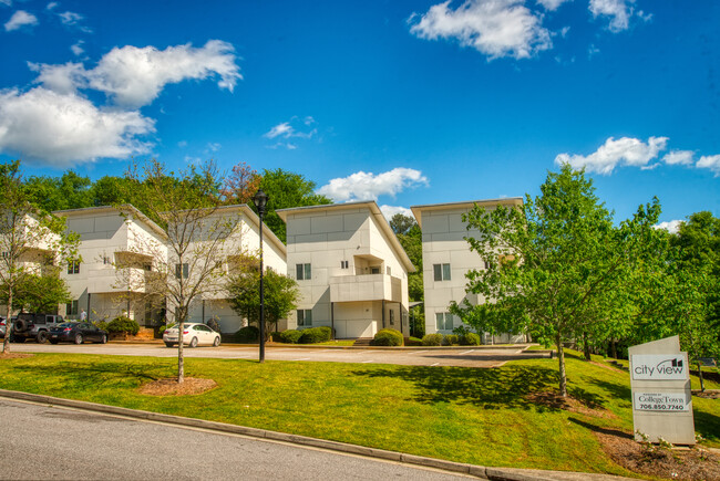 Photo - 1030 Dr Martin Luther King Jr Pkwy Townhome