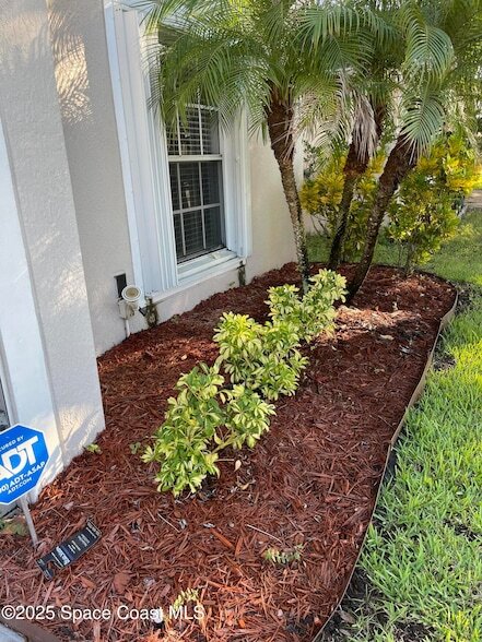 Photo - 3072 Chica Cir