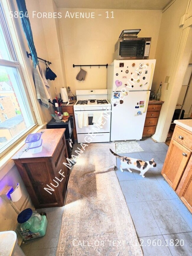 Building Photo - 5854 Forbes Ave Unit 11