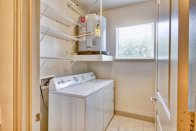 Photo - Amelia Apartments