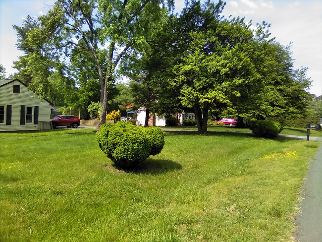 Photo - 1625 Maiden Ln House
