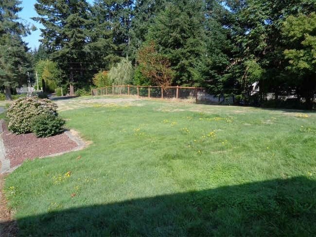 Photo - 3315 8th St NW