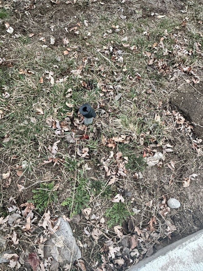 531 W River Rd