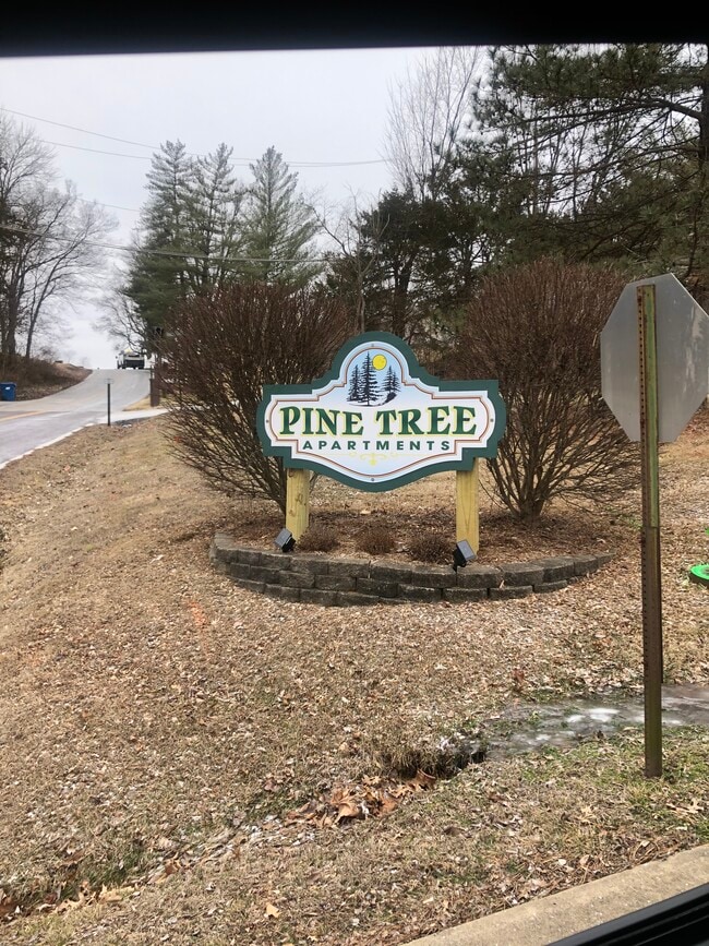 Photo - 398 Pinetree Ridge Ln Unidad 2