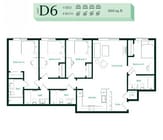 D6