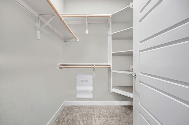 Building Photo - Brightleaf at Lakeline