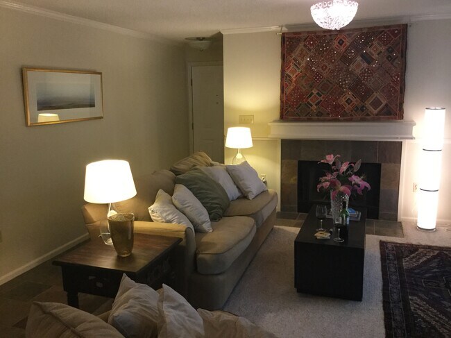 Living Room and Fireplace - 5013 Sharon Rd Unit k