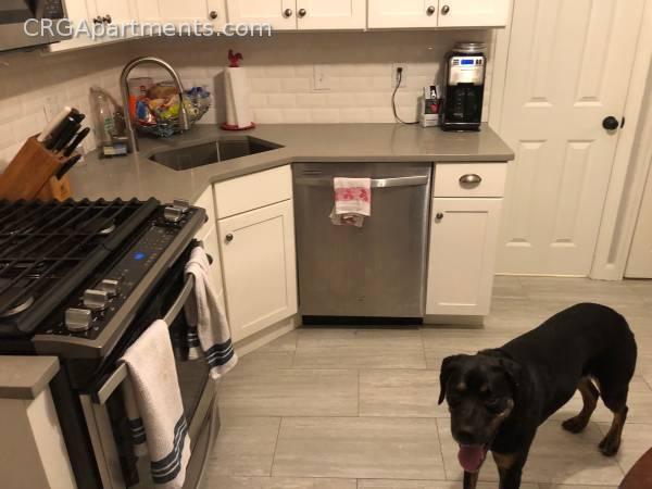 Photo - 5 Marcella St Unit 1