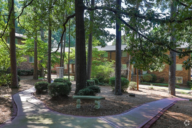 Photo - Midwood Creek