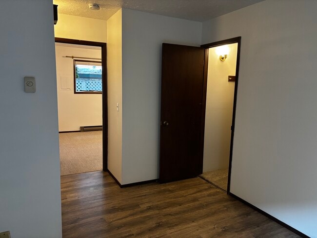 Hackney Apartments