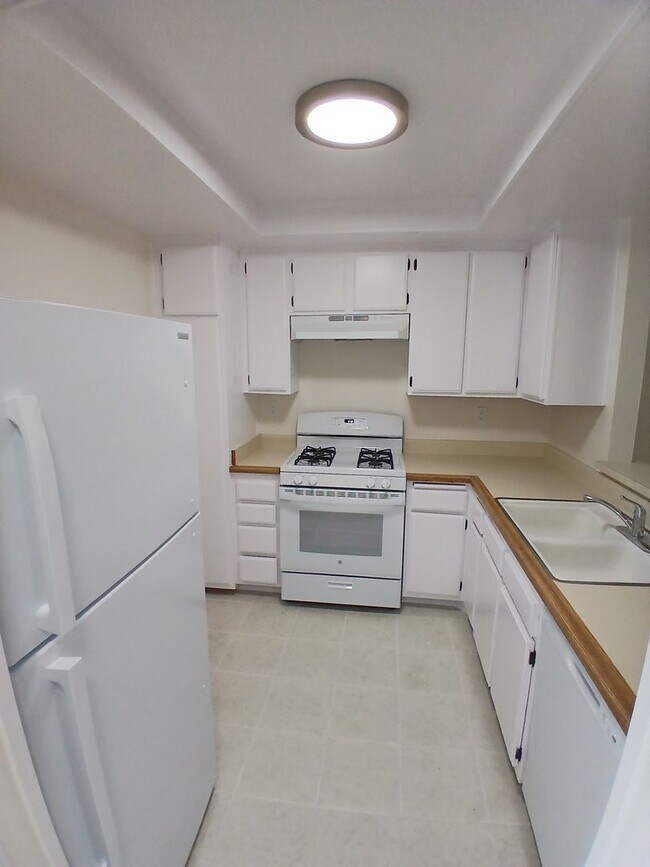 955 E 3rd St Unit 307