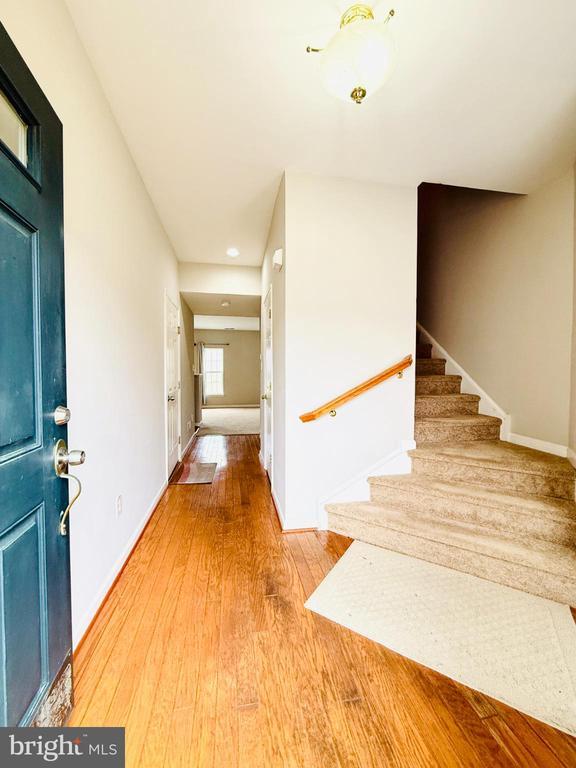 Photo - 47 Peppermint Dr