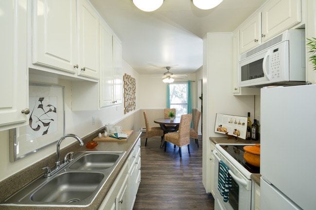 Bayside Apartments