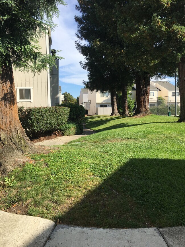 Camino Colegio Estates